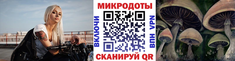 Галлюциногенные грибы мухоморы  Купить закладки  Железноводск 