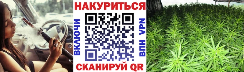МАРИХУАНА семена  Купить где  Железноводск 